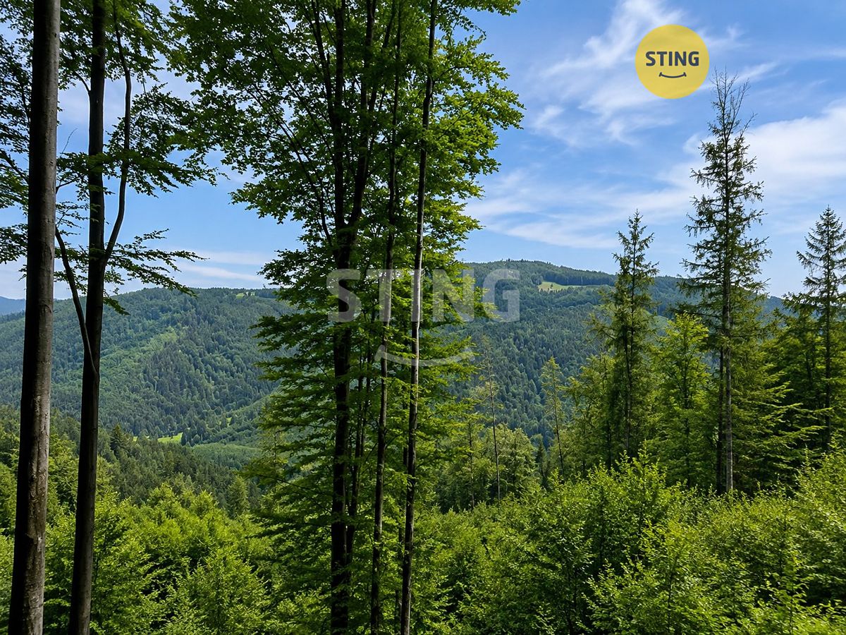 Prodej louky 6262 m²