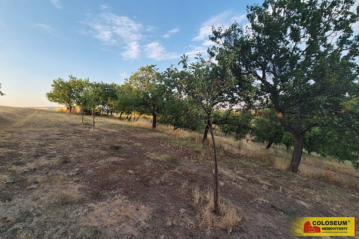 Prodej pole 872 m² – fotografie 3