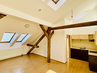 Pronájem bytu 2+kk 53 m²