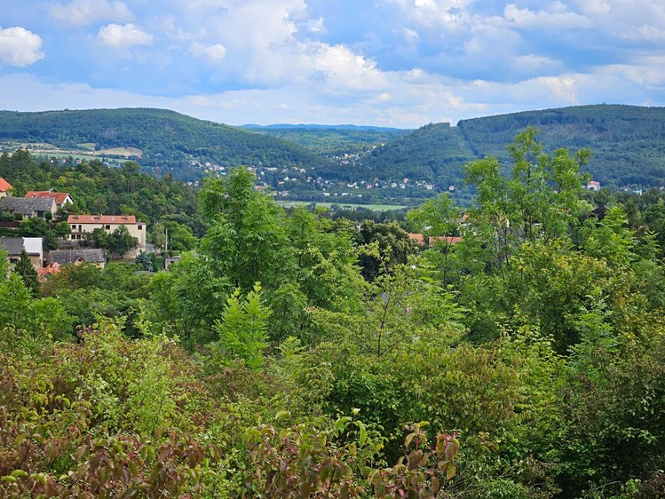 Prodej pozemku, 1 800 m² (11 z 14)