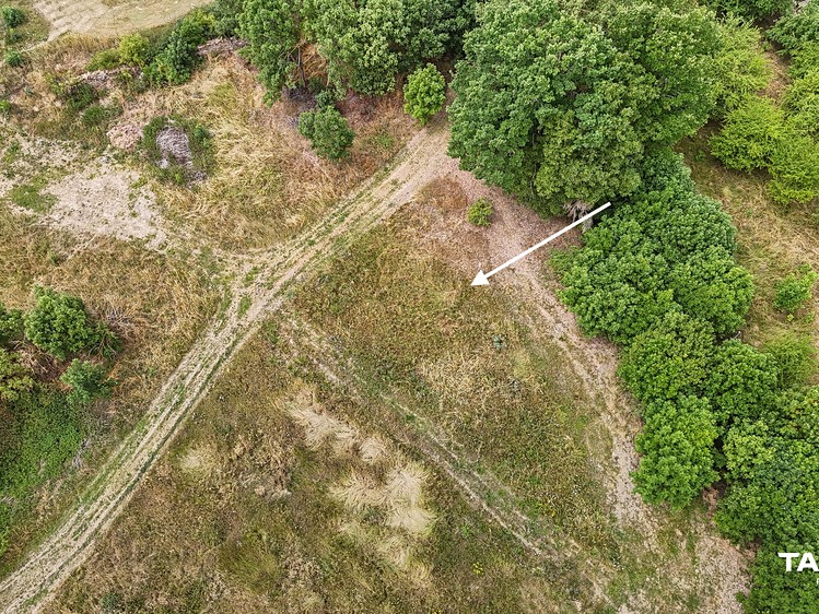 Ділянка на продаж, 1 548 м² (9 з 13)