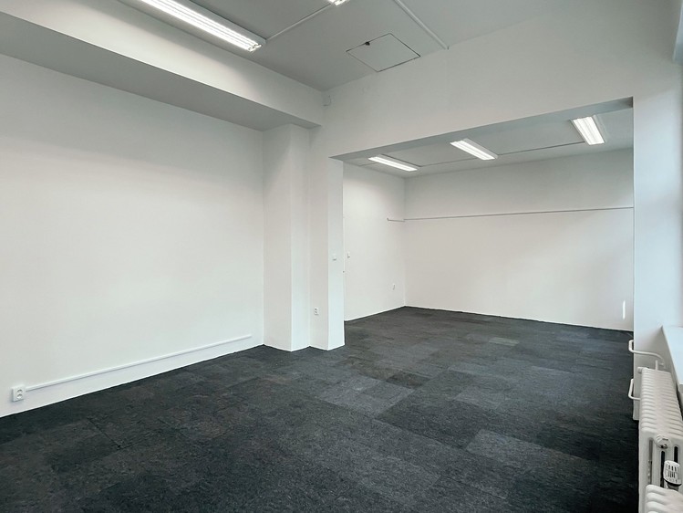 Pronájem komerčního prostoru, 44 m² (4 z 7)