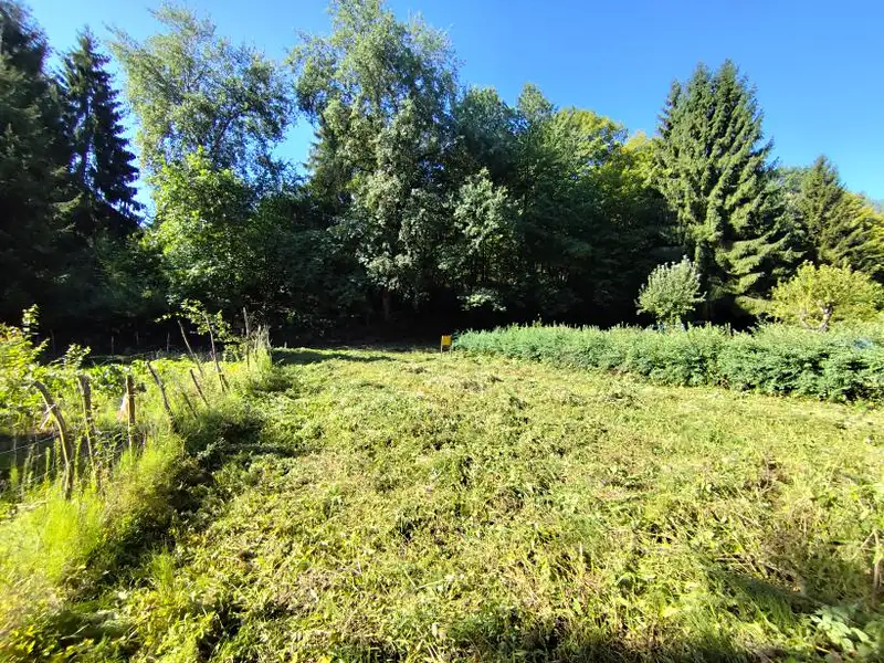 Prodej zahrady 410 m², Mšeno – náhled fotky 3