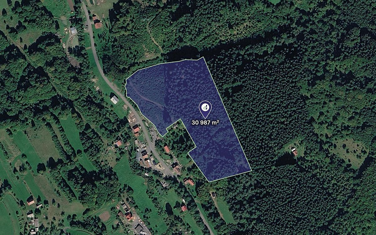 Prodej lesa 30987 m²