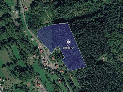 Prodej lesa 30987 m²