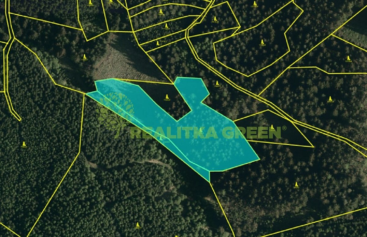 Prodej lesa 9912 m²