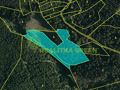 Prodej  lesa 9 912 m²