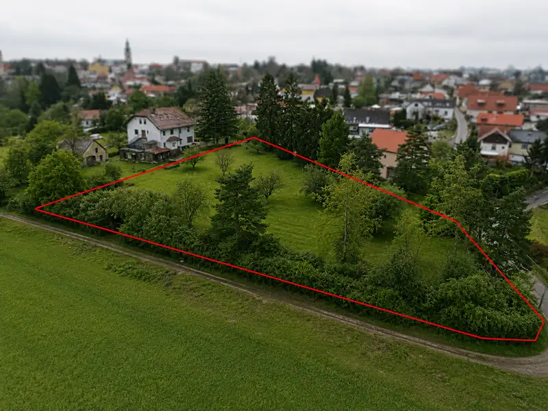 Prodej sadu, vinice 4219 m², Kostelec nad Černými lesy – náhled fotky 1