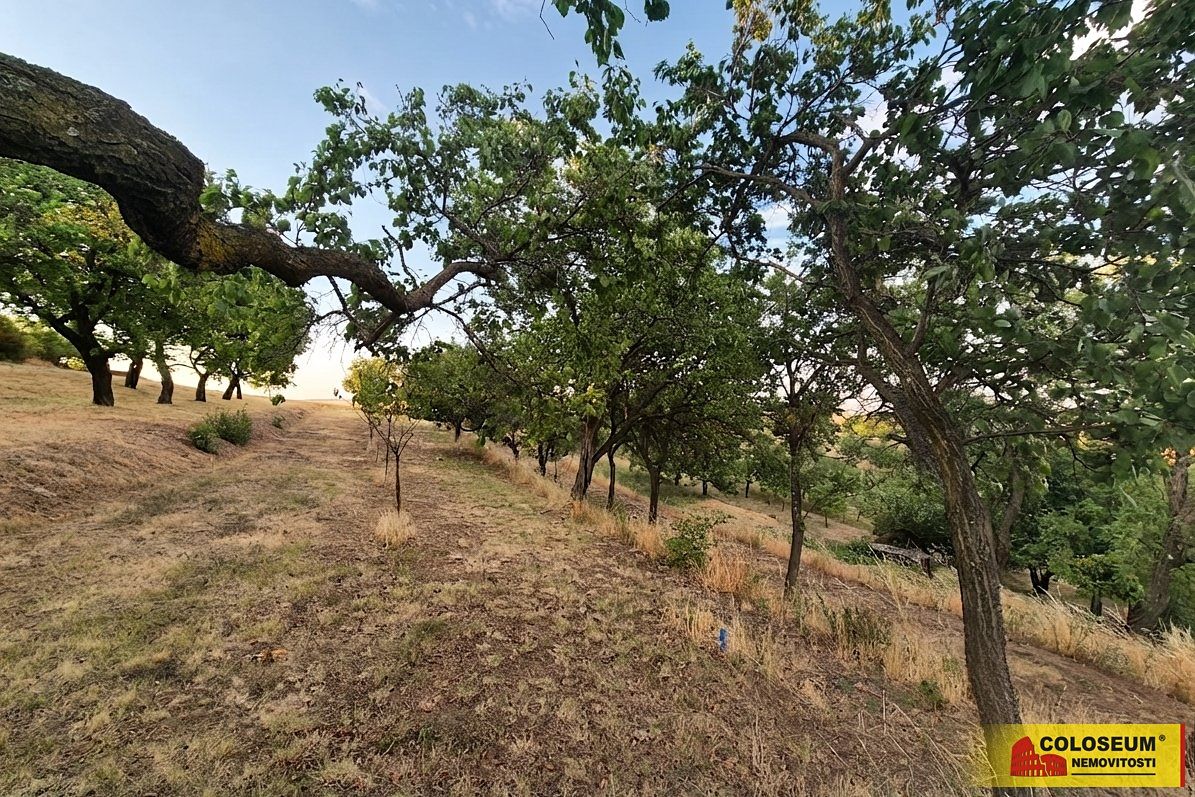 Prodej pole 872 m²