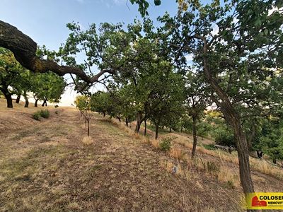 Prodej pole 872 m²