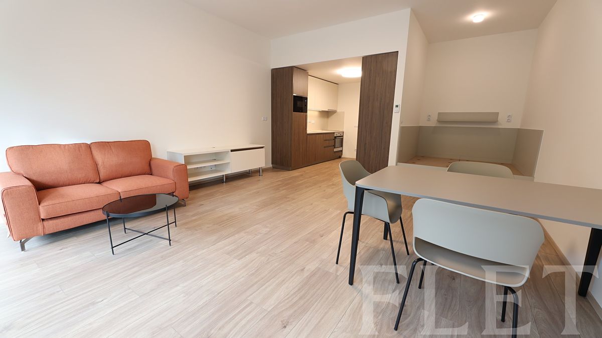 Pronájem bytu 1+kk 48 m²