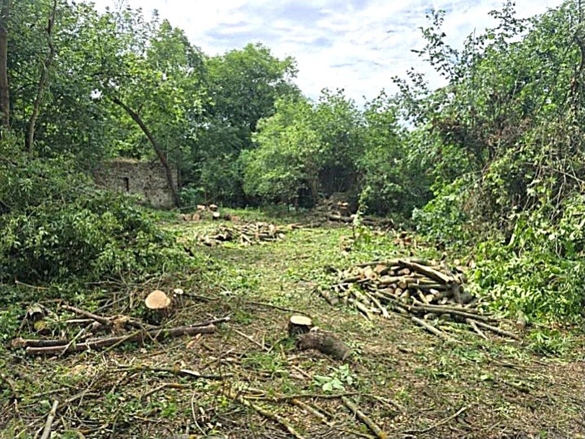 Prodej rodinného domu 100 m², pozemek 2338 m² – fotografie 5