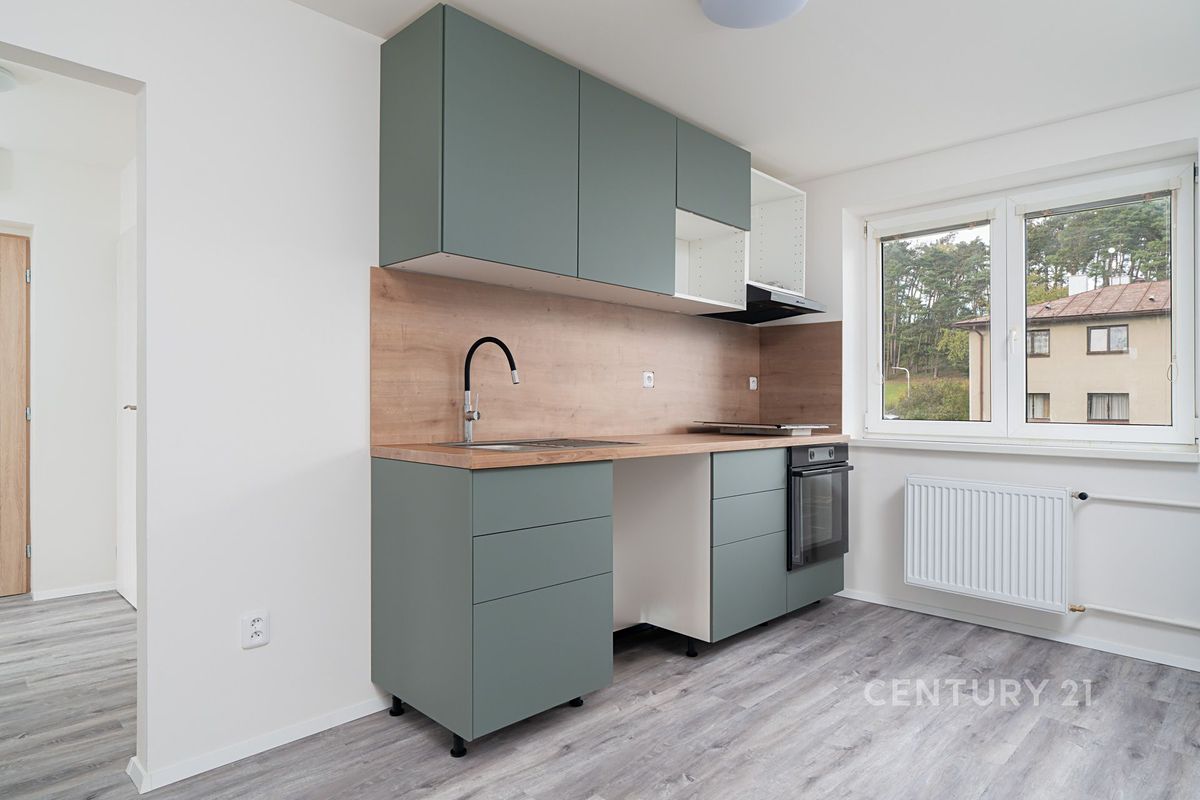 Pronájem bytu 2+1 55 m² – fotografie 4