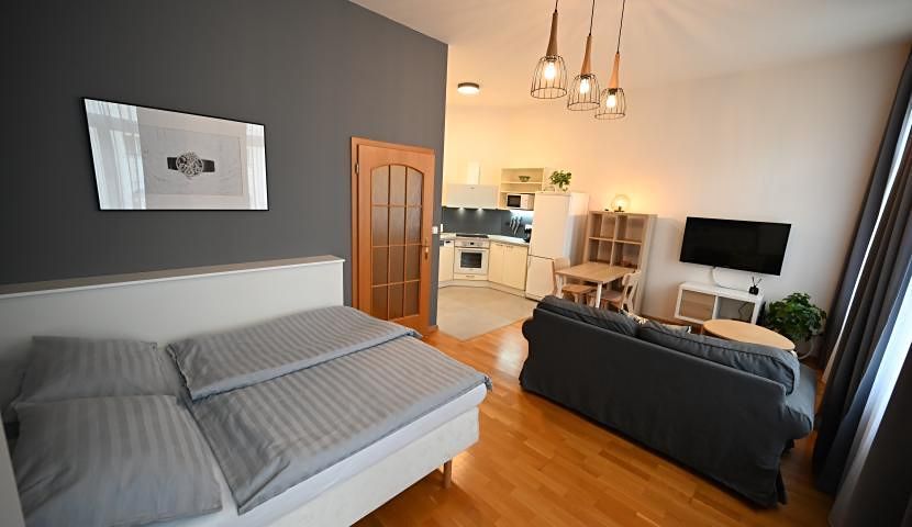 Pronájem bytu 1+kk 35 m²