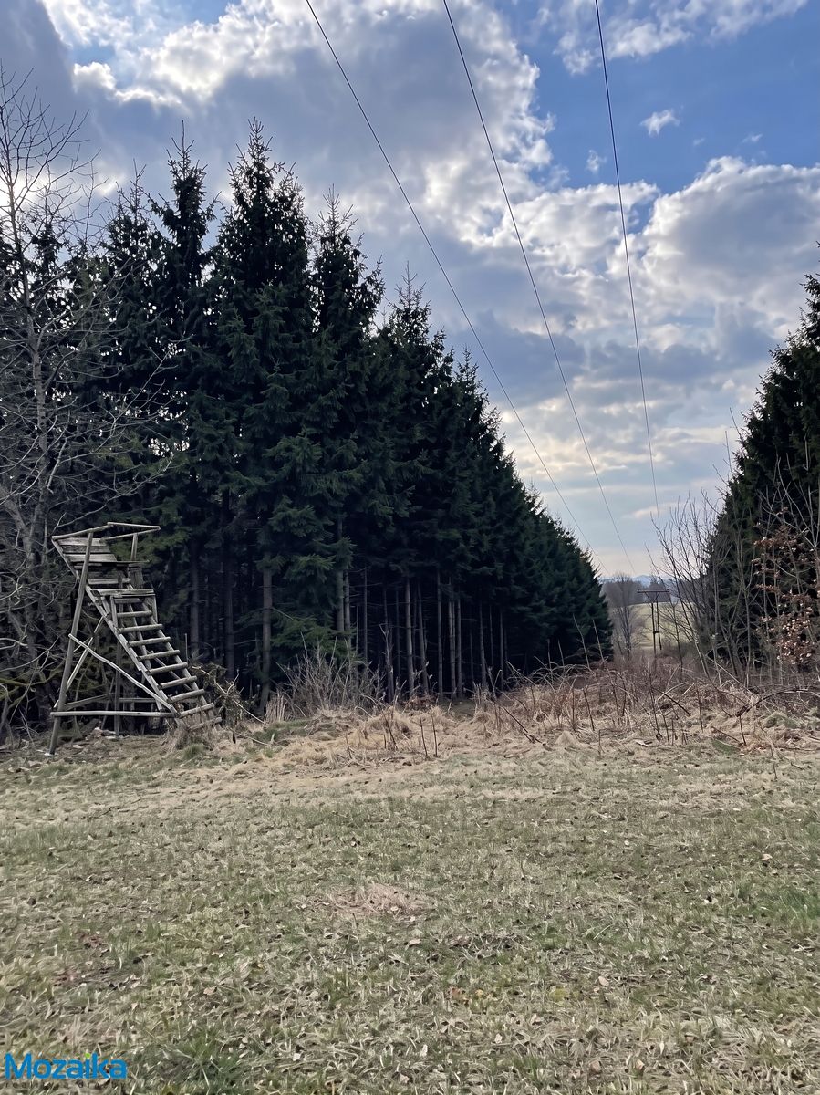 Prodej lesa 51563 m² – fotografie 3