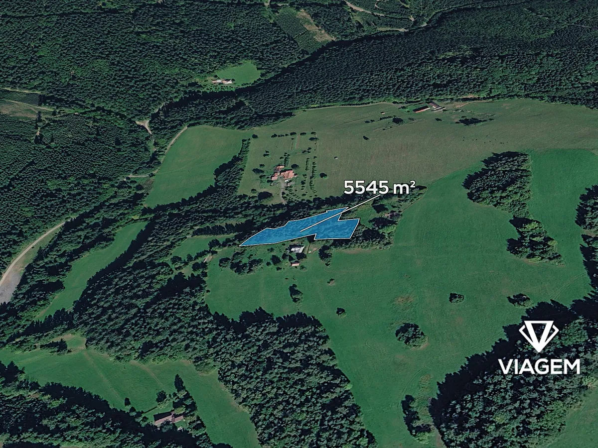 Prodej podílu 9/10 lesa 4990 m²