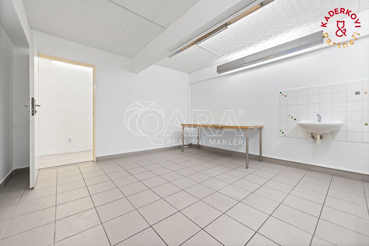 Prodej obchodního prostoru 326 m² – fotografie 2