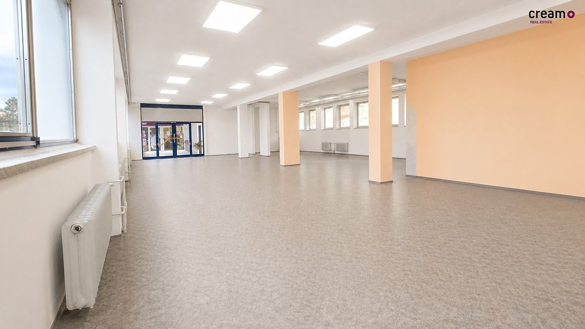 Pronájem obchodního prostoru 203 m² – fotografie 2