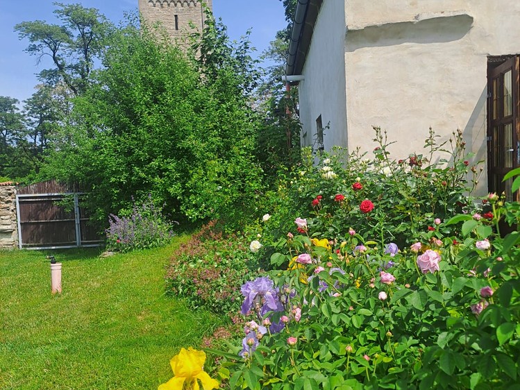Gewerbefläche zum Kauf, 435 m² (24 von 38)