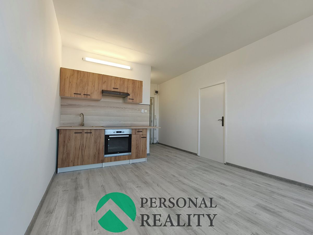 Pronájem bytu 1+1 42 m²