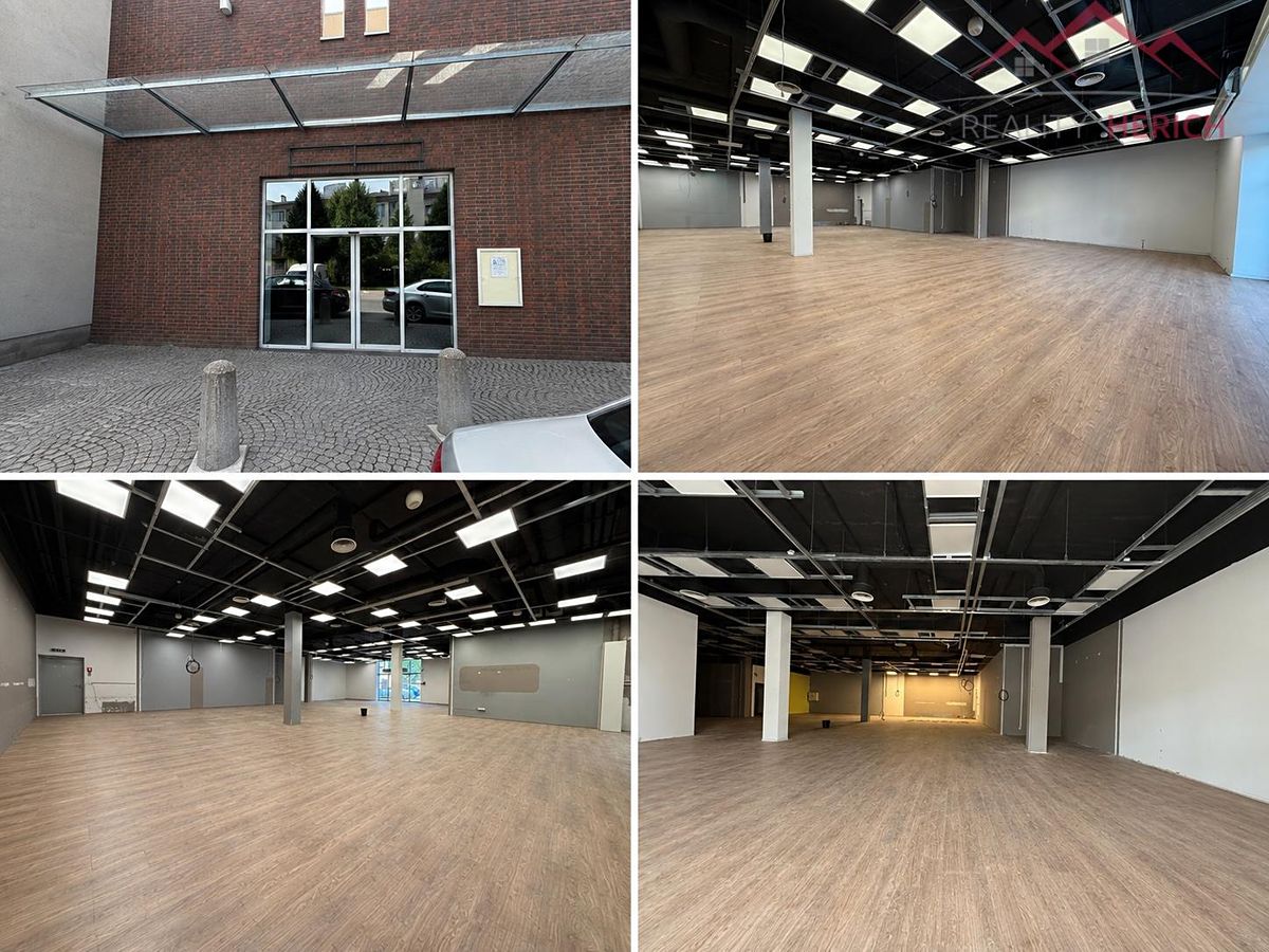 Pronájem obchodního prostoru 300 m² – fotografie 3