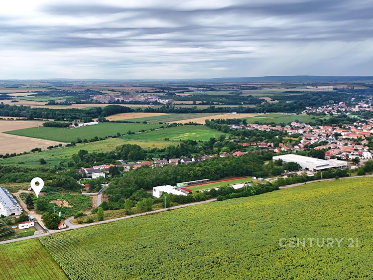 Ostatní