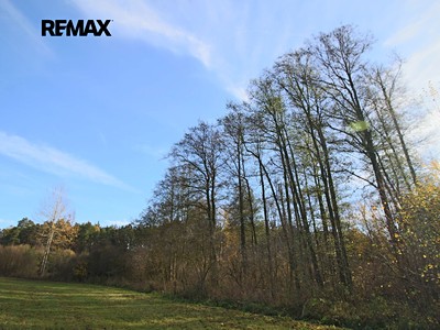 Prodej pozemku, 19 636 m² (2 z 6)