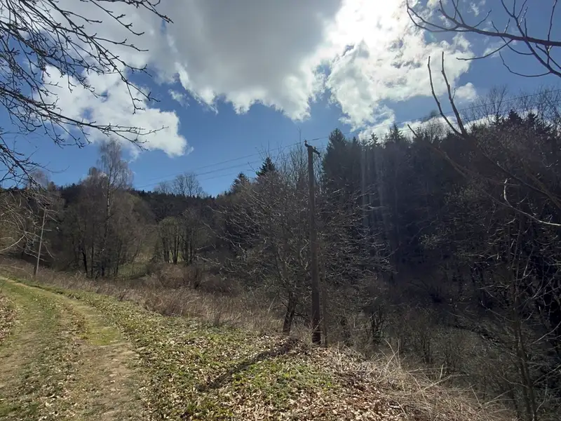 Prodej louky 9974 m², Výprachtice – náhled fotky 2