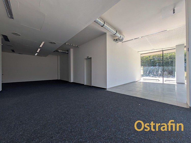 Pronájem komerčního prostoru, 150 m² (8 z 21)