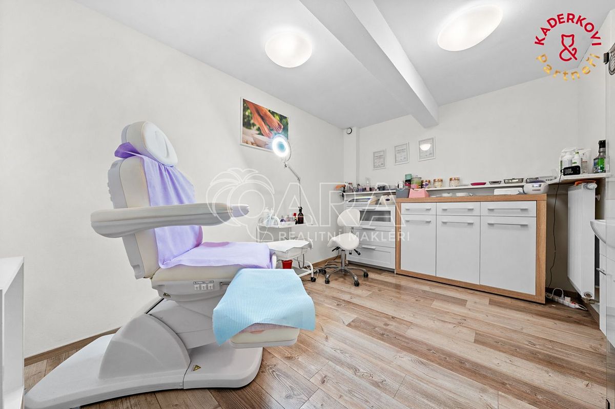 Prodej obchodního prostoru 172 m²