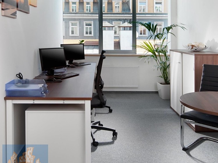 Pronájem komerčního prostoru, 12 m² (15 z 19)