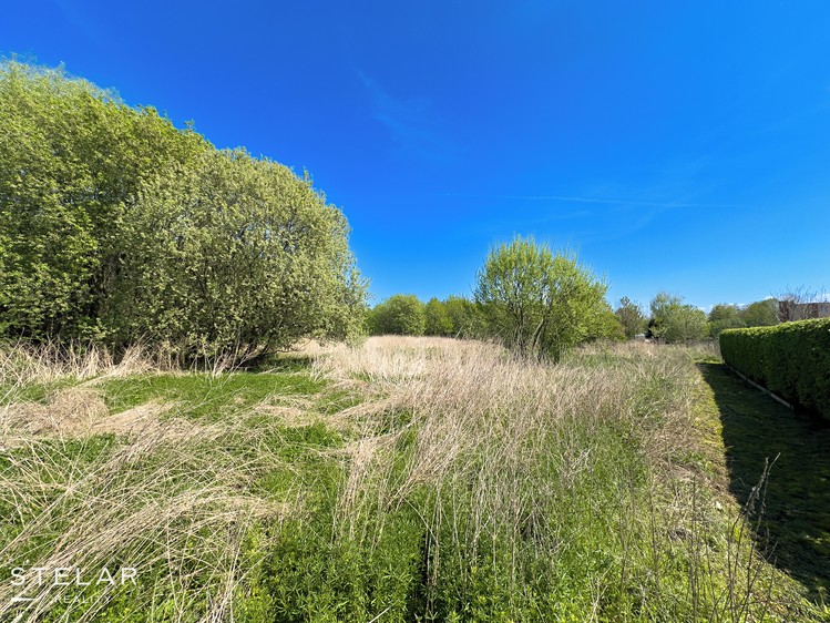 Grundstück zum Kauf, 22.000 m² (6 von 9)