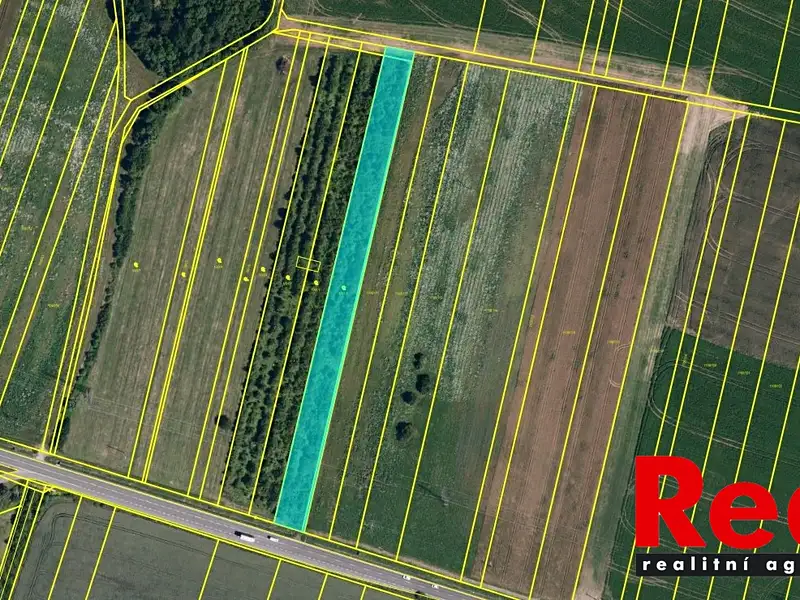Prodej sadu, vinice 5651 m², Hodějice – náhled fotky 1