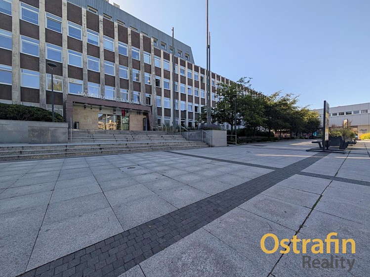Комерційне приміщення в оренду, 238 м² (2 з 21)