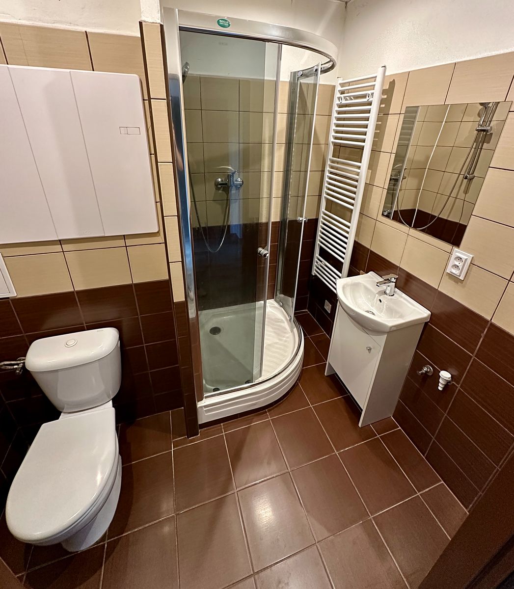 Pronájem bytu 3+kk 50 m² – fotografie 3
