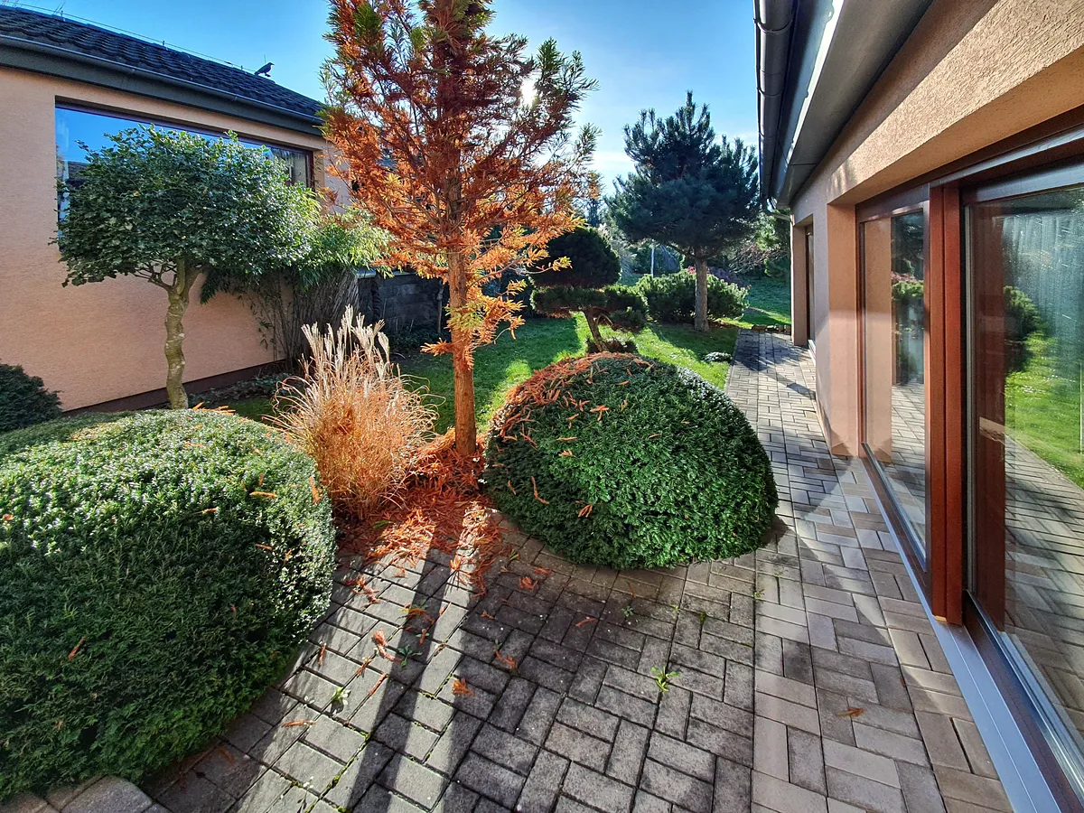 Fotka 25 z 30