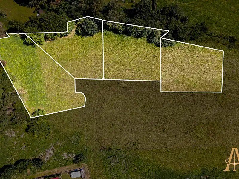 Prodej stavebního pozemku 3962 m², Všestary – náhled fotky 3