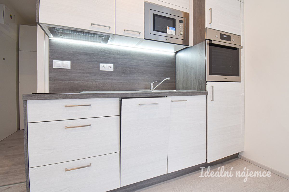 Pronájem bytu 1+kk 29 m² – fotografie 3