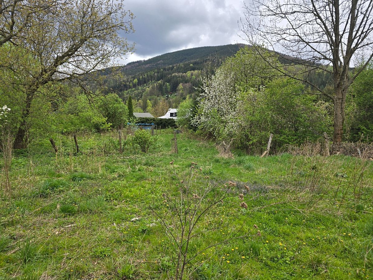 Prodej stavebního pozemku 1799 m² – fotografie 2