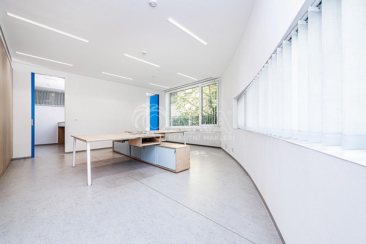Pronájem obchodního prostoru 240 m² – fotografie 2