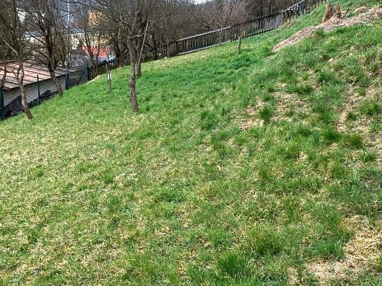 Prodej pozemku, 1 260 m² (4 z 7)