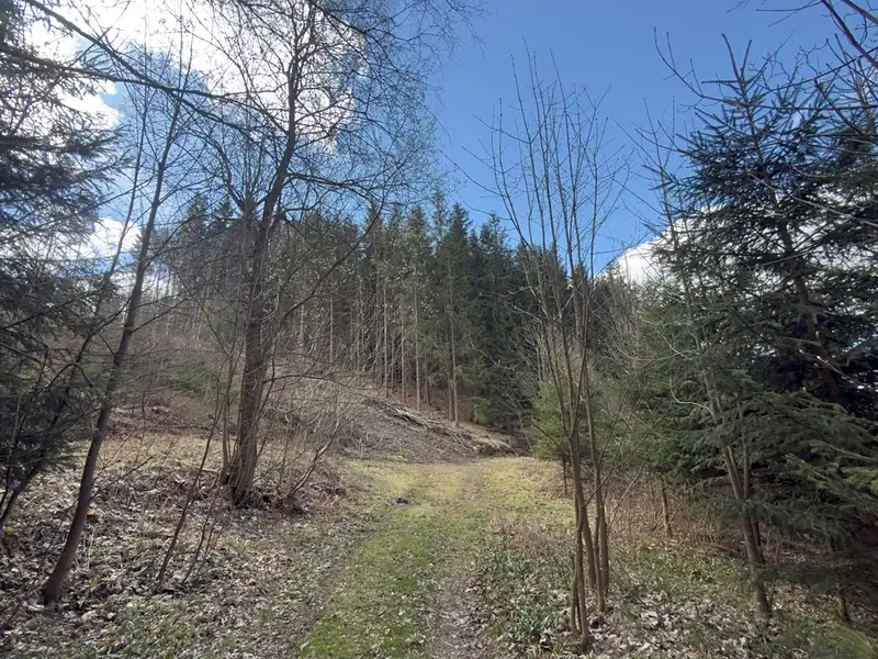 Prodej louky 9974 m², Výprachtice – náhled fotky 3