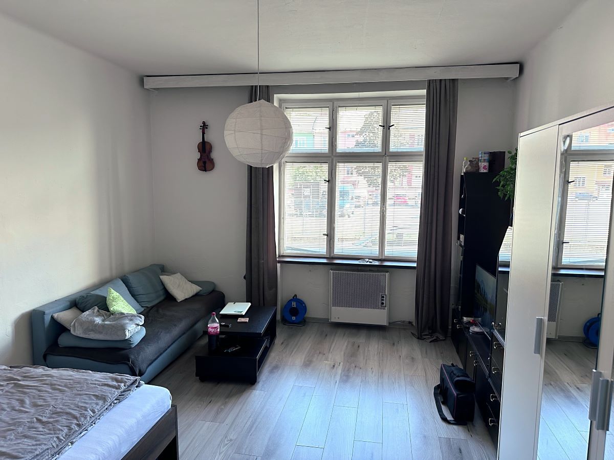 Pronájem bytu 1+1 45 m² – fotografie 3