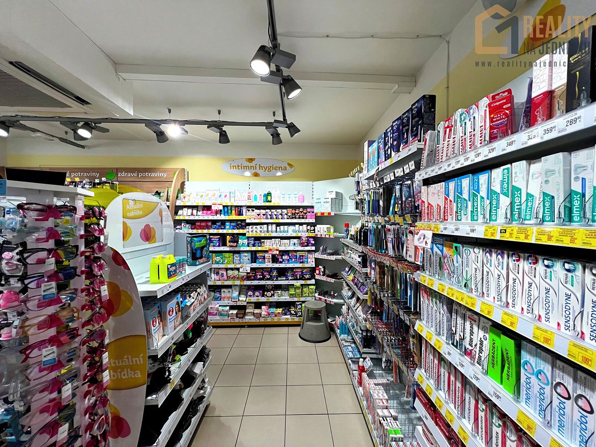 Prodej vícegeneračního domu 370 m², pozemek 273 m² – fotografie 4