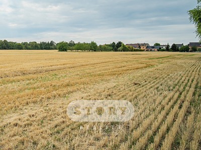 Prodej  pole 7 465 m²