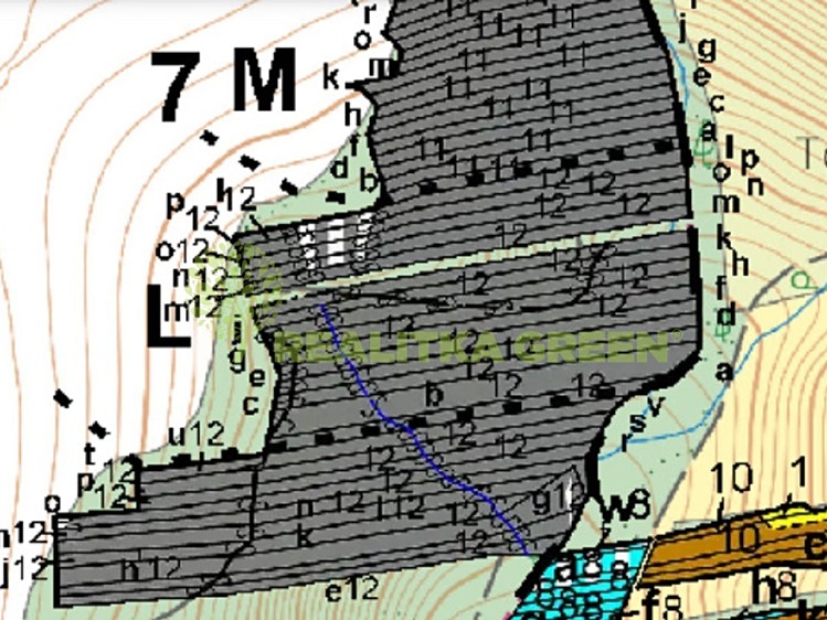 Grundstück zum Kauf, 3.779 m² (3 von 3)
