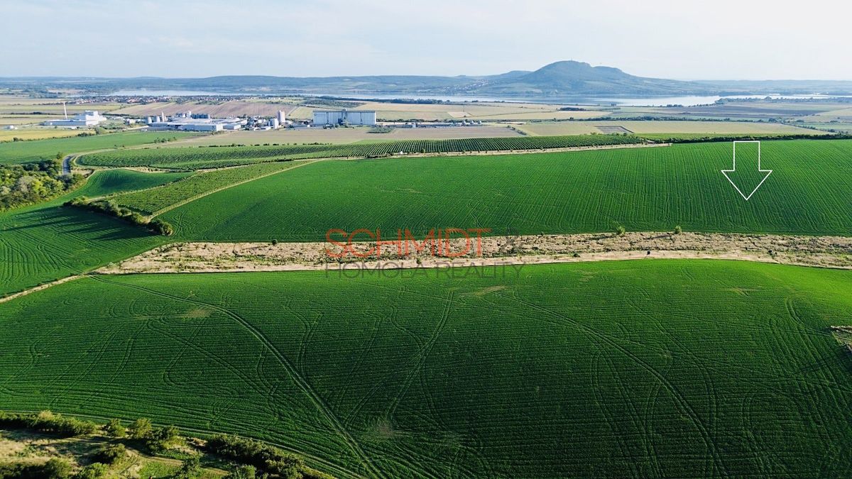 Prodej pole 3735 m² – fotografie 2