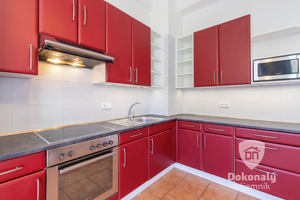 Pronájem bytu 1+1 55 m²