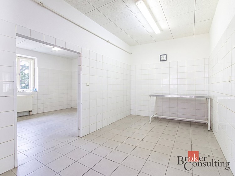 Prodej komerčního prostoru, 320 m² (4 z 21)