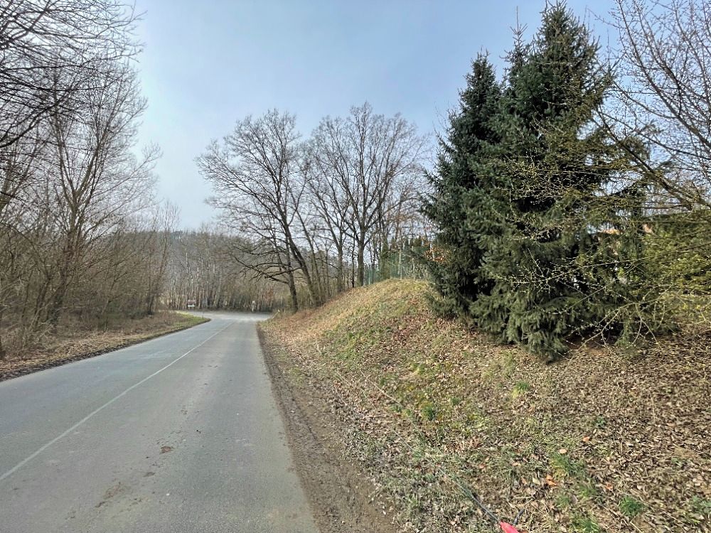 Prodej lesa 133 m² – fotografie 2